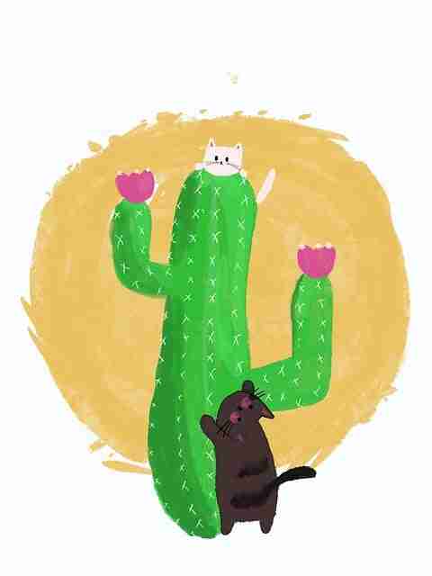 运营白皮书《51网在线观看》推广秘籍快报