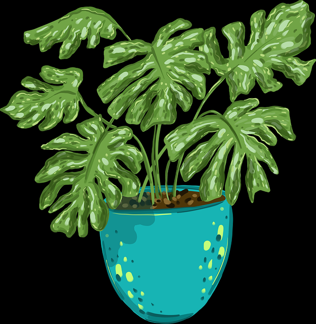 吃瓜51热点图:热度扩散动态可视化