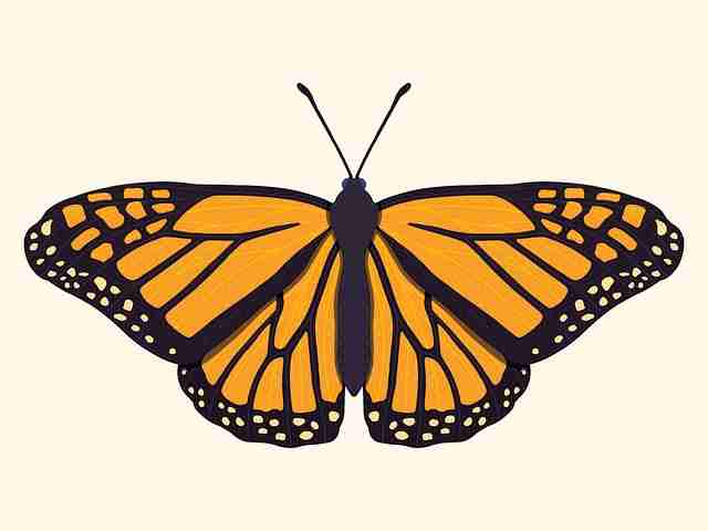 P站官网入口——SEO 战术行业观察一文看懂