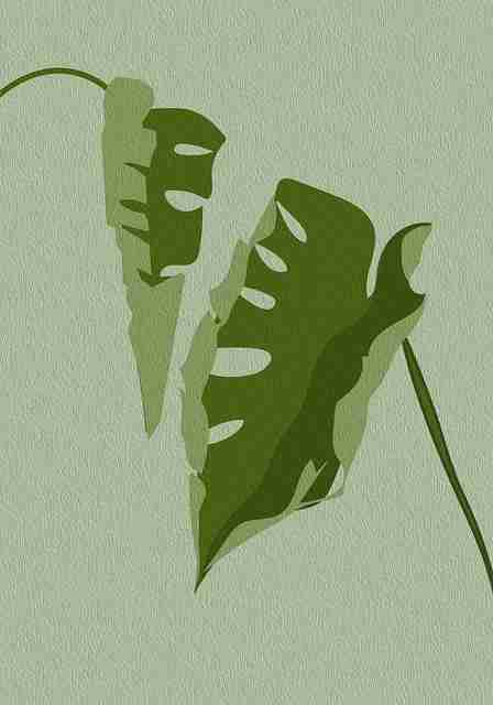 51视频网站——隐私争议行业观察案例复盘